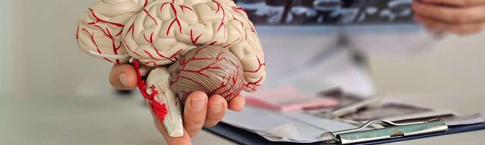 Síntomas de Alzheimer: Señales de alerta temprana y los beneficios de tu Isapre CruzBlanca